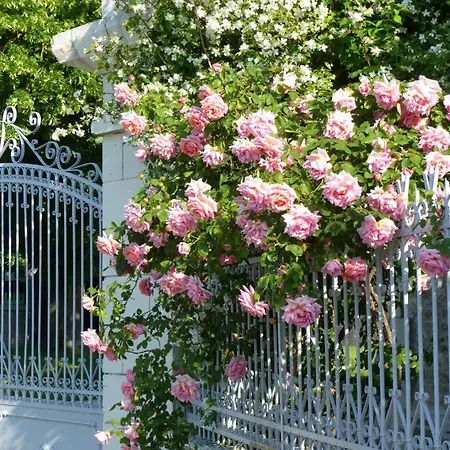 Hotel Les Jardins De Claunay La Roche-Rigault